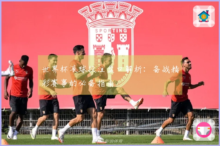 世界杯滚球投注盘口解析：备战精彩赛事的必备指南